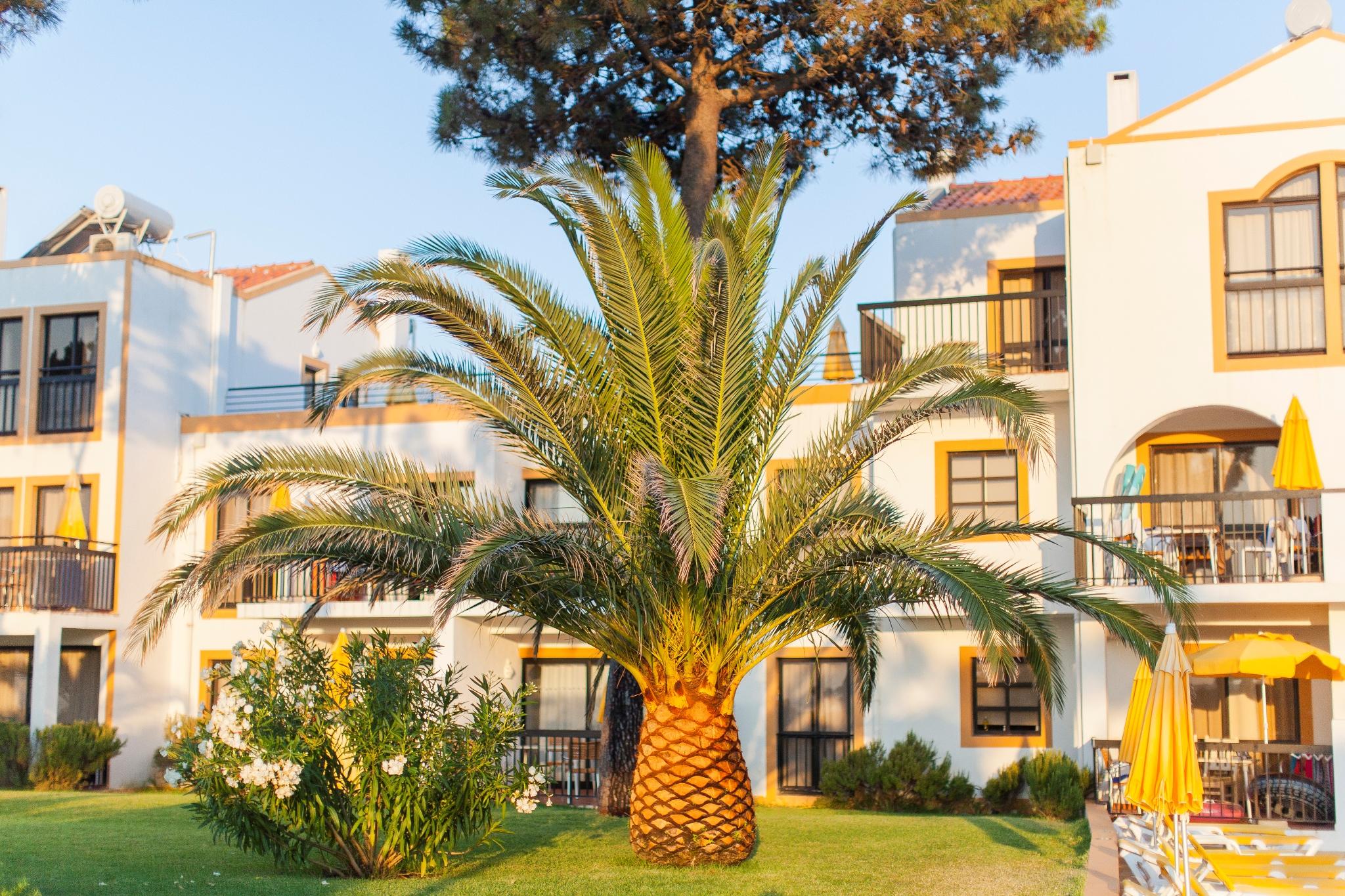 Alfagar Village Albufeira Exterior photo
